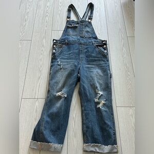 Anthropologie Pilcro Distressed Blue Denim Overalls - Relaxed Fit size 32